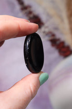 Black Obsidian Worry Stones 4cm Worry Stones Tali & Loz Crystals