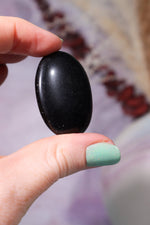 Black Obsidian Worry Stones 4cm Worry Stones Tali & Loz Crystals
