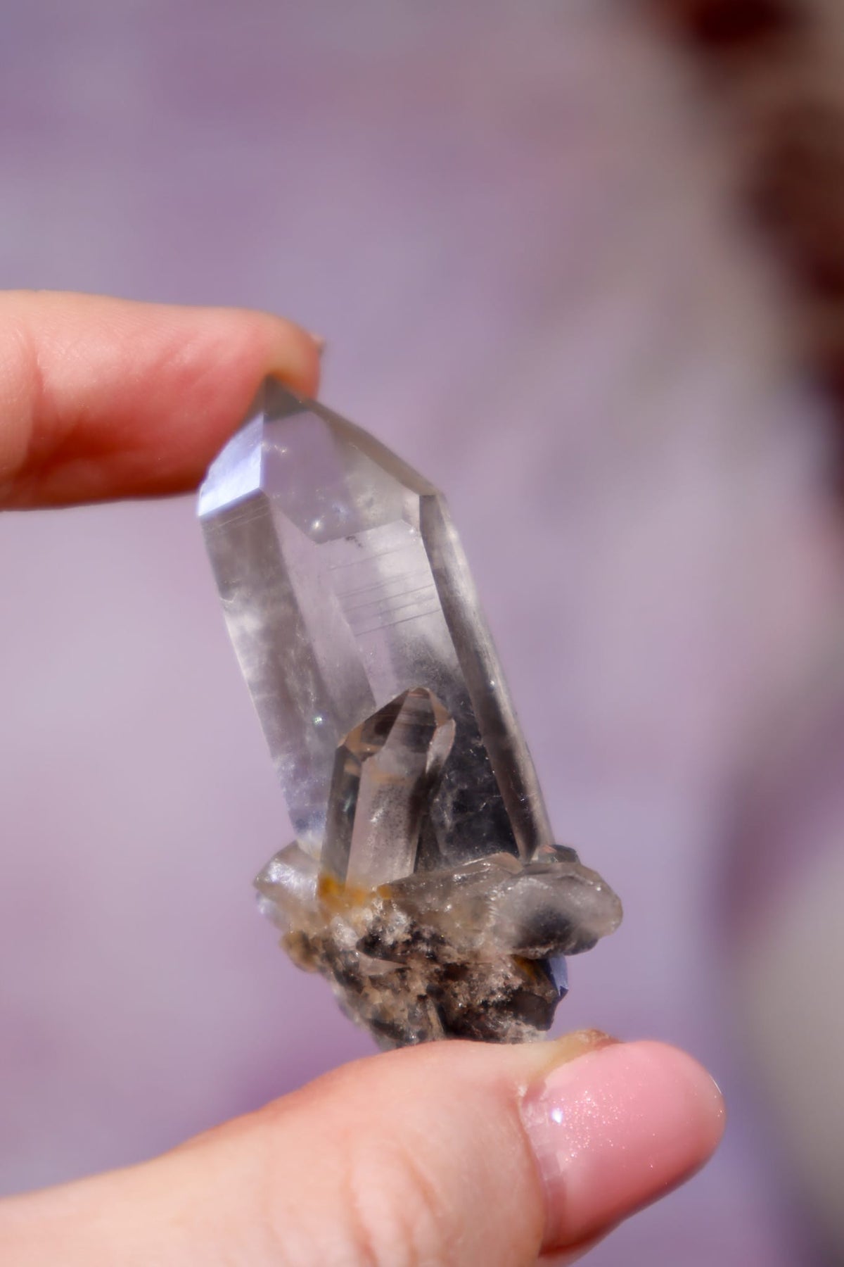 Black Tara Quartz Point | 4.9 cm | Brazil Quartz Tali & Loz Crystals