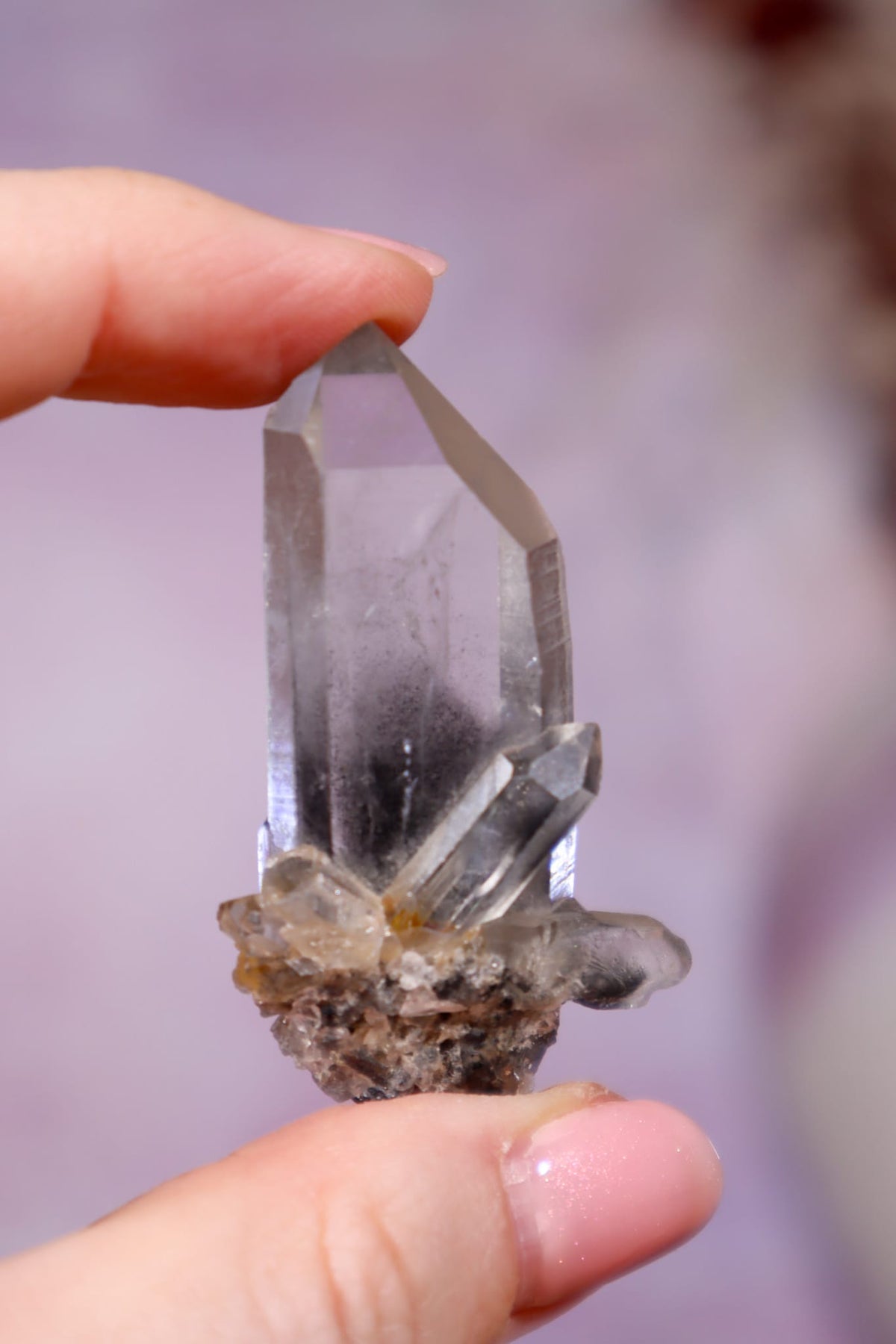 Black Tara Quartz Point | 4.9 cm | Brazil Quartz Tali & Loz Crystals