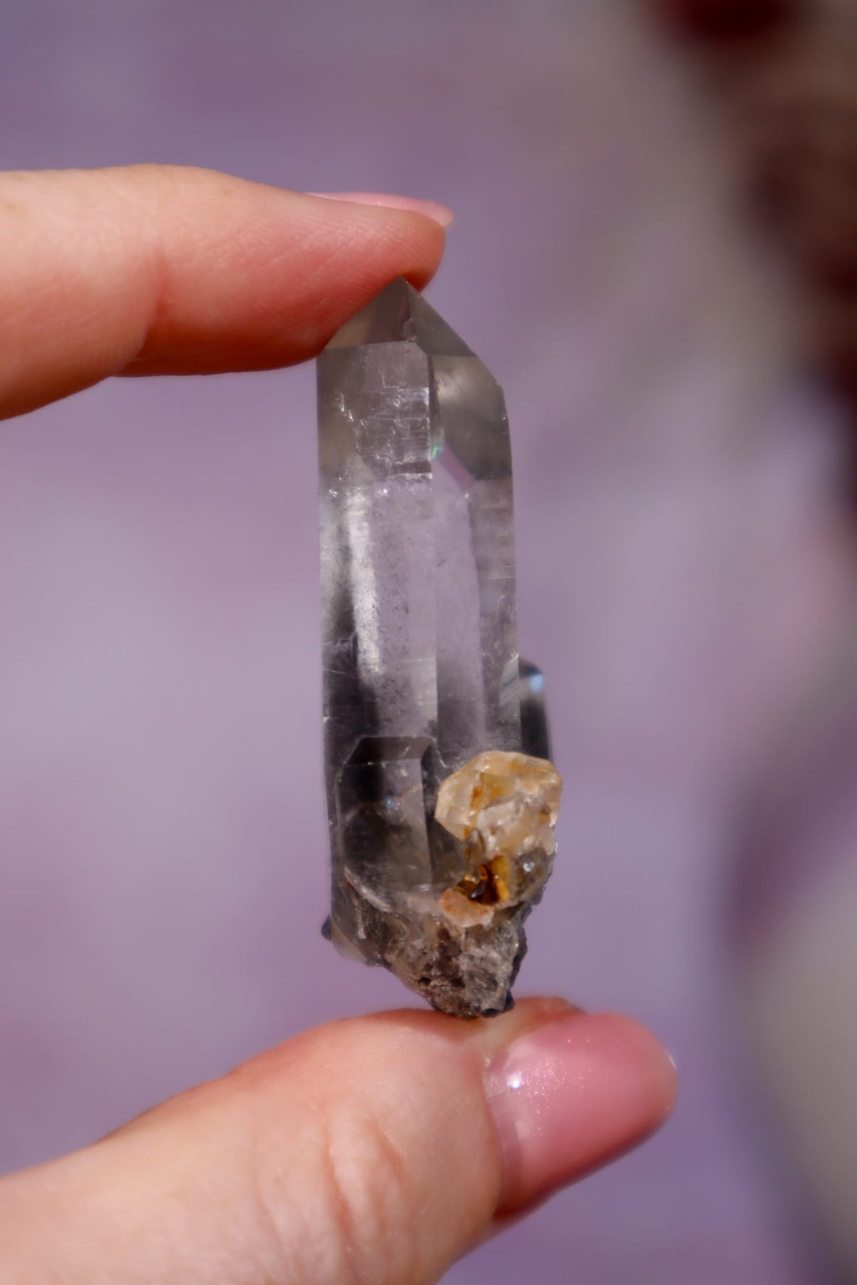 Black Tara Quartz Point | 4.9 cm | Brazil Quartz Tali & Loz Crystals
