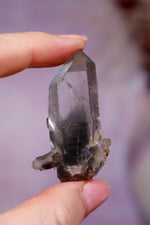 Black Tara Quartz Point | 4.9 cm | Brazil Quartz Tali & Loz Crystals