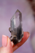 Black Tara Quartz Point | 4.9 cm | Brazil Quartz Tali & Loz Crystals