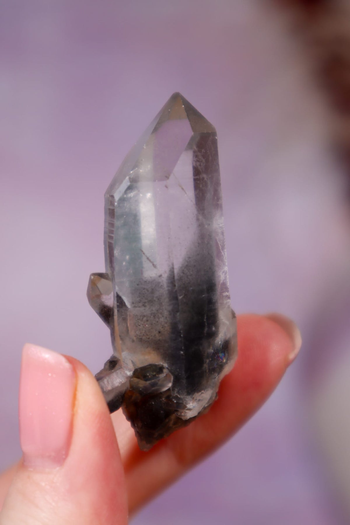 Black Tara Quartz Point | 4.9 cm | Brazil Quartz Tali & Loz Crystals