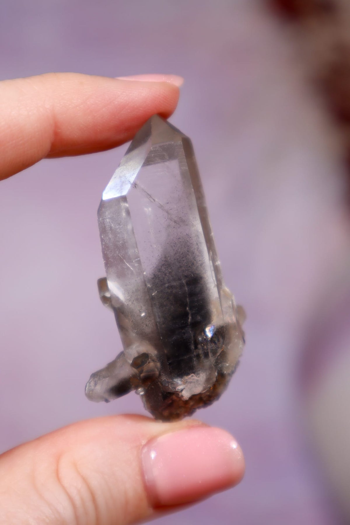 Black Tara Quartz Point | 4.9 cm | Brazil Quartz Tali & Loz Crystals