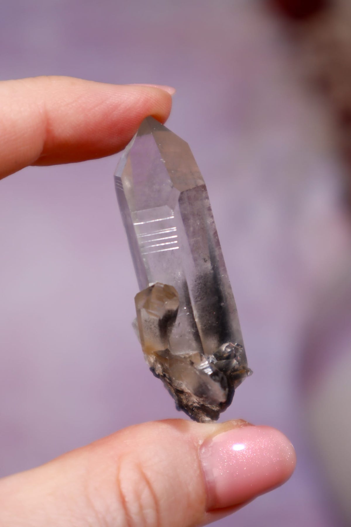 Black Tara Quartz Point | 4.9 cm | Brazil Quartz Tali & Loz Crystals