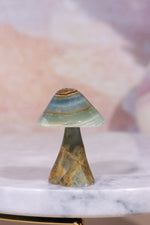 Blue Calcite Mushroom Mushrooms Tali & Loz Crystals