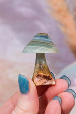 Blue Calcite Mushroom Mushrooms Tali & Loz Crystals
