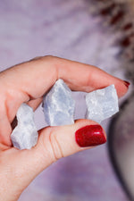 Blue Calcite Rough Crystals Rough Crystals Small 20-40mm (3 units) Tali & Loz Crystals