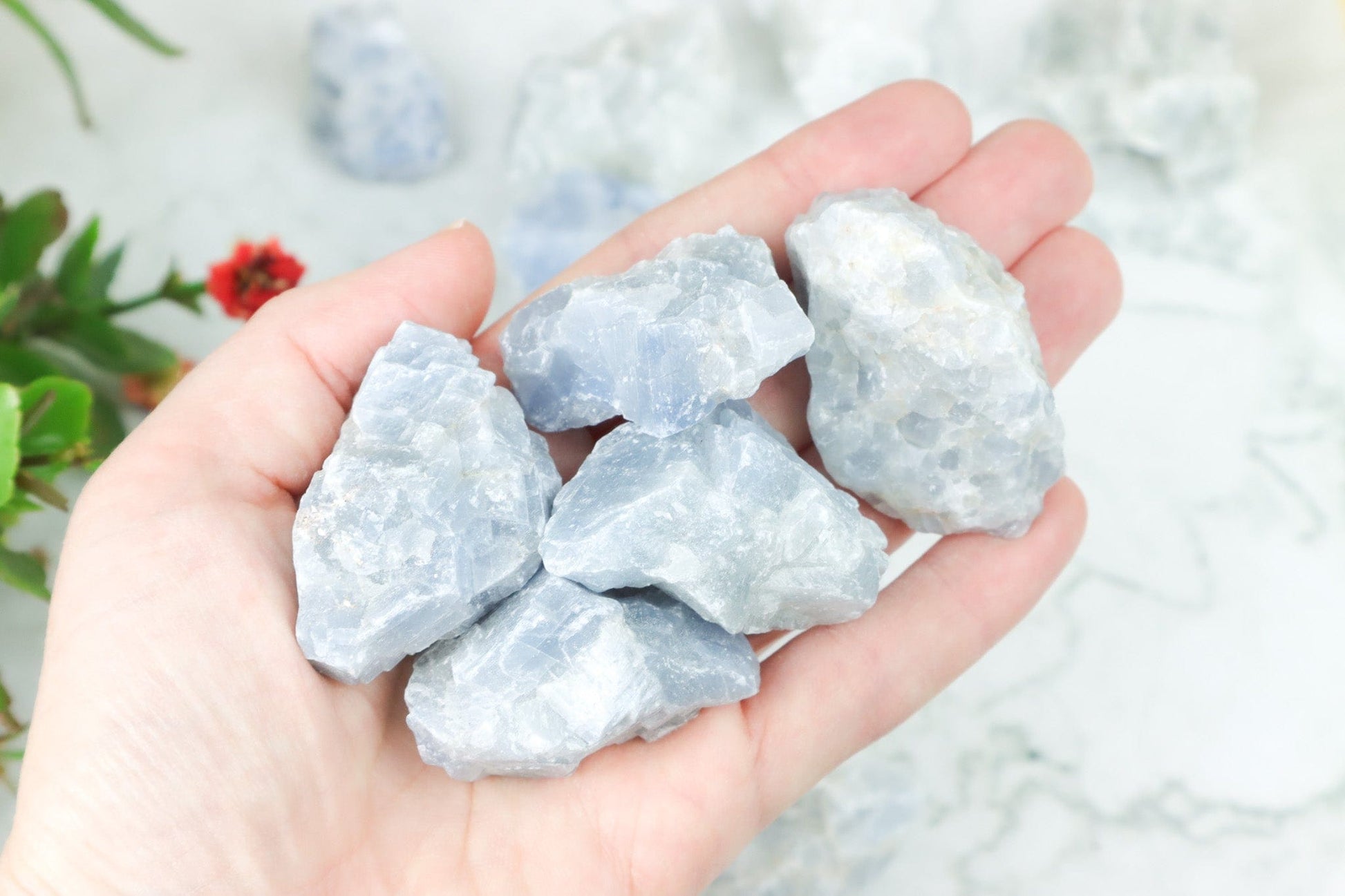 Blue Calcite Rough - Protection/Communication Rough Crystals Tali & Loz