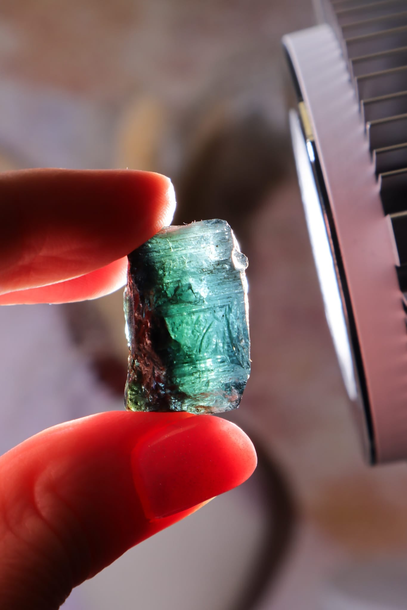 Blue-Green Bi-Colour Tourmaline | 10.25g | Brazil Minerals Tali & Loz Crystals