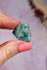 Blue Hackmanite | 2cm | Pakistan Rough Crystals Tali & Loz Crystals