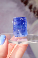 Blue Halite 41gr | Igdir- Turkey Minerals Tali & Loz Crystals