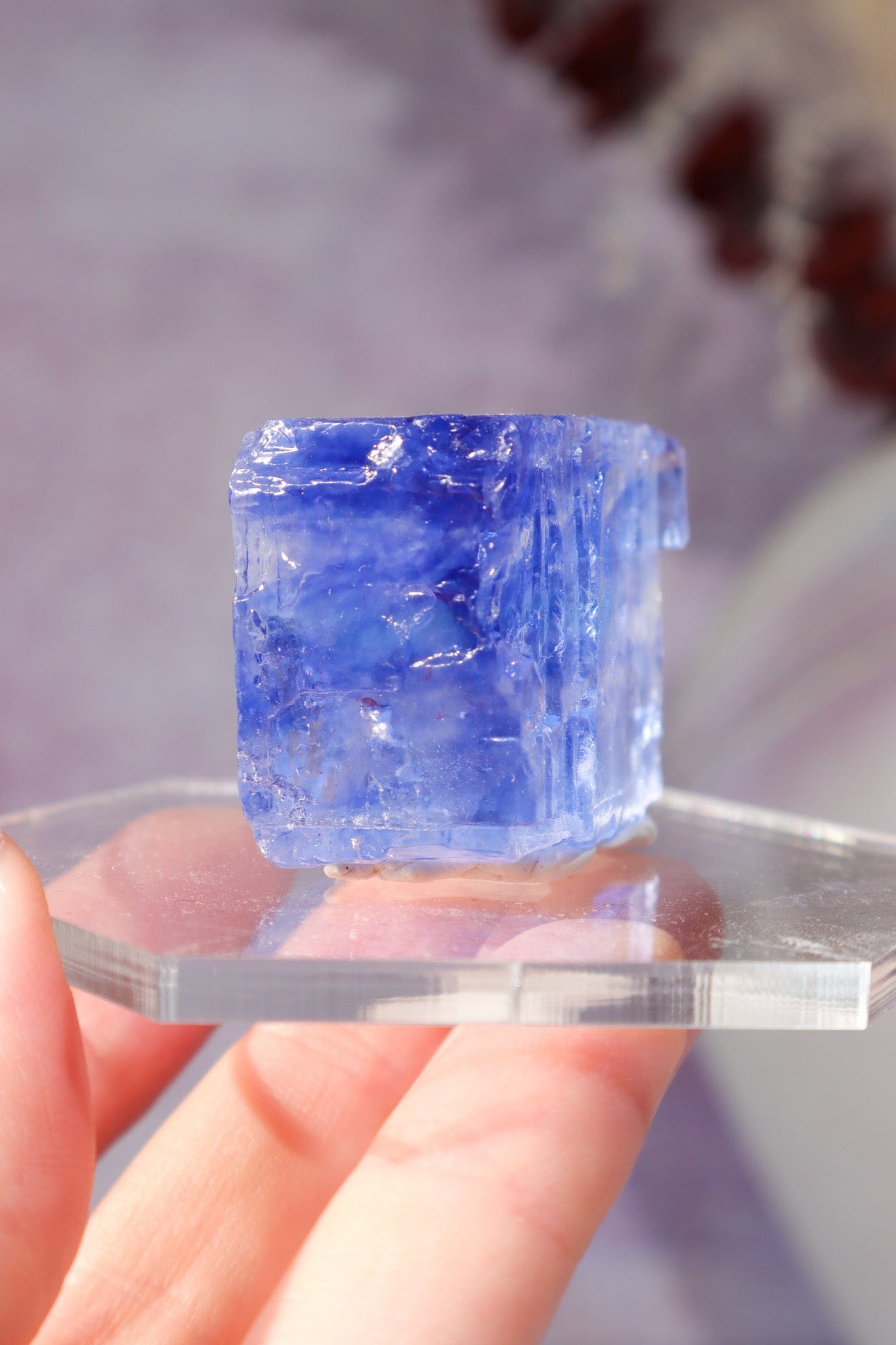 Blue Halite 41gr | Igdir- Turkey Minerals Tali & Loz Crystals