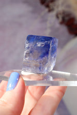 Blue Halite 50.5gr | Igdir- Turkey Minerals Tali & Loz Crystals