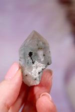 Blue Tara Quartz Point | 4 cm | Brazil Quartz Tali & Loz Crystals