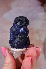 Blueberry Fluorite on Quartz | 48mm | Huanggang Mine, Inner Mongolia Minerals Tali & Loz Crystals