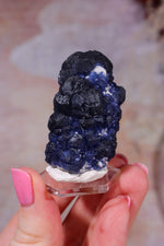 Blueberry Fluorite on Quartz | 48mm | Huanggang Mine, Inner Mongolia Minerals Tali & Loz Crystals