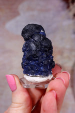 Blueberry Fluorite on Quartz | 48mm | Huanggang Mine, Inner Mongolia Minerals Tali & Loz Crystals