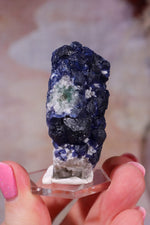 Blueberry Fluorite on Quartz | 51mm | Huanggang Mine, Inner Mongolia Minerals Tali & Loz Crystals