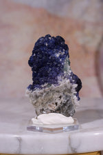 Blueberry Fluorite on Quartz | 51mm | Huanggang Mine, Inner Mongolia Minerals Tali & Loz Crystals