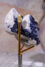 Blueberry Fluorite on Quartz | 69mm | Huanggang Mine, Inner Mongolia Minerals Tali & Loz Crystals