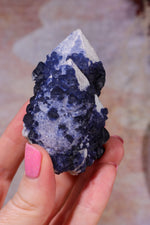 Blueberry Fluorite on Quartz | 69mm | Huanggang Mine, Inner Mongolia Minerals Tali & Loz Crystals