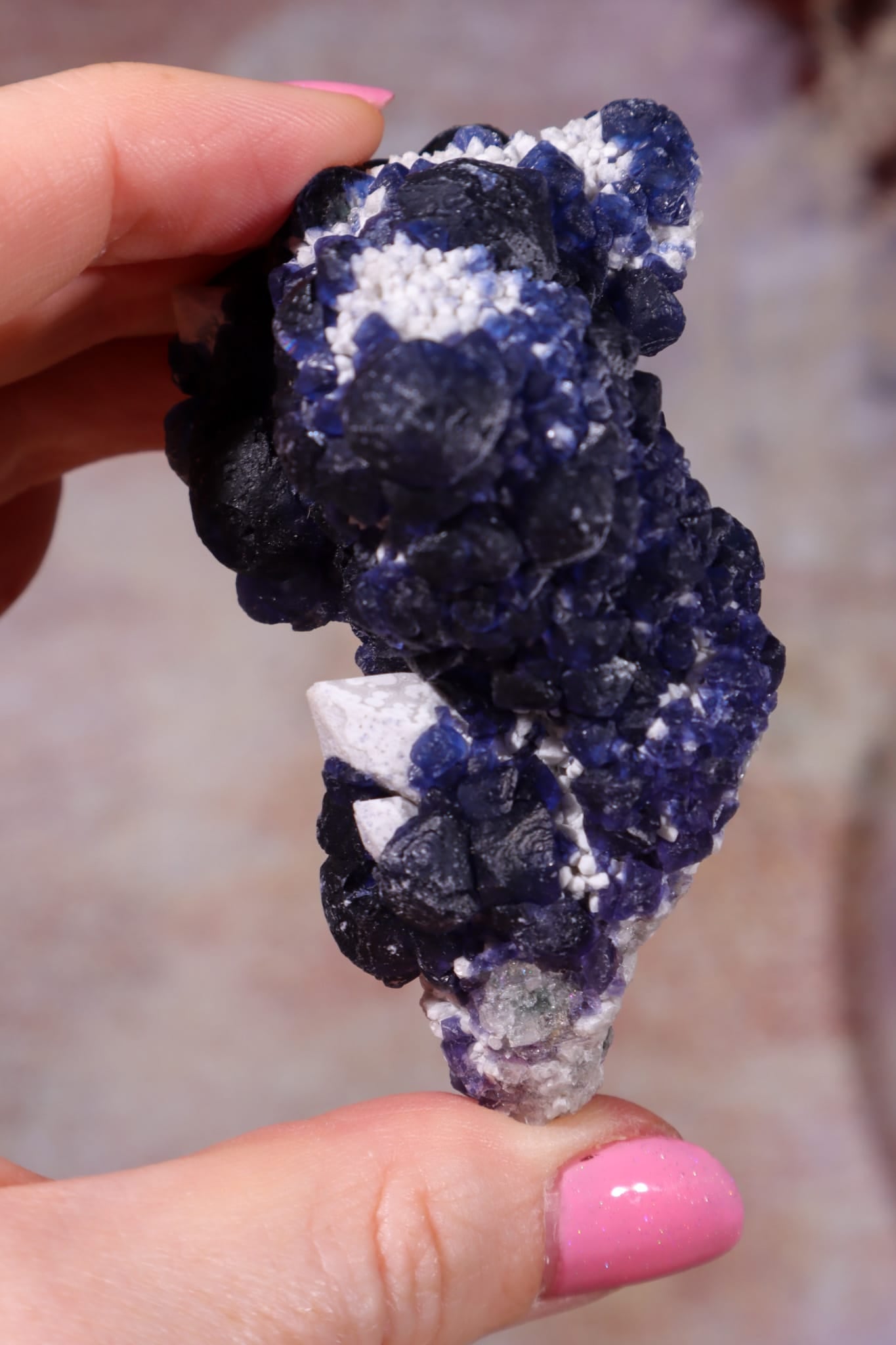 Blueberry Fluorite on Quartz | 71mm | Huanggang Mine, Inner Mongolia Minerals Tali & Loz Crystals