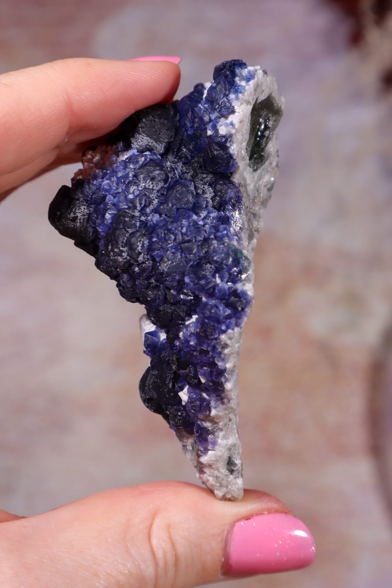 Blueberry Fluorite on Quartz | 71mm | Huanggang Mine, Inner Mongolia Minerals Tali & Loz Crystals