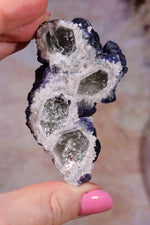 Blueberry Fluorite on Quartz | 71mm | Huanggang Mine, Inner Mongolia Minerals Tali & Loz Crystals