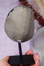 Botryoidal Flower Amethyst On Custom Stand 0.5KG Specimen Tali & Loz Crystals