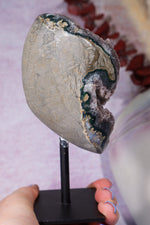 Botryoidal Flower Amethyst On Custom Stand 0.5KG Specimen Tali & Loz Crystals