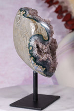 Botryoidal Flower Amethyst On Custom Stand 0.5KG Specimen Tali & Loz Crystals