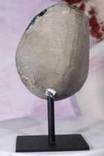 Botryoidal Flower Amethyst On Custom Stand 0.5KG Specimen Tali & Loz Crystals