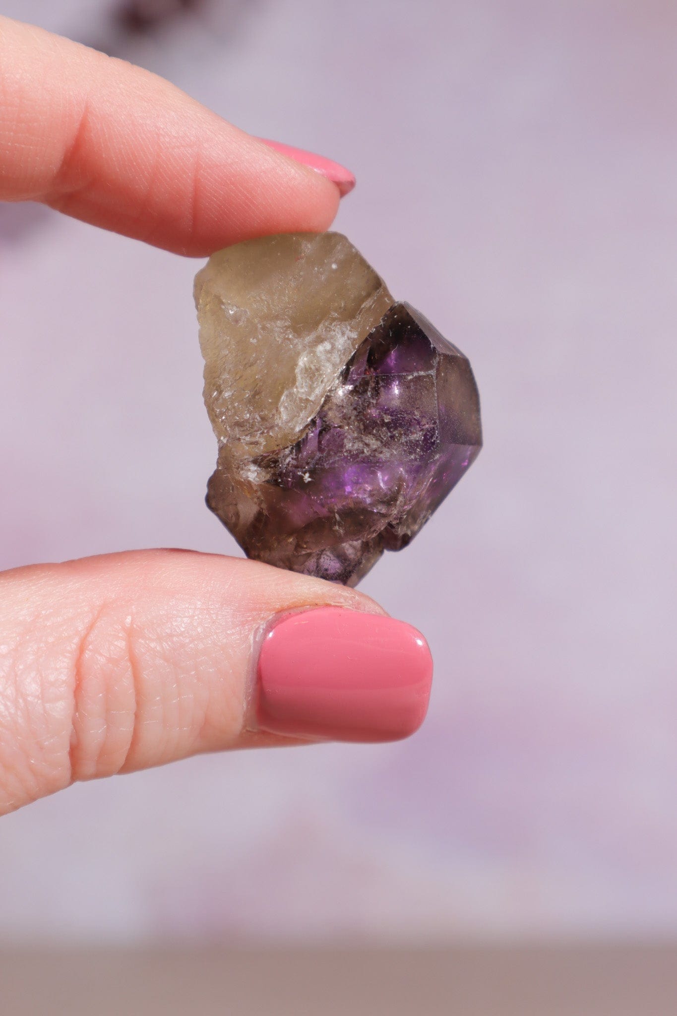 Brandberg Amethyst and Smokey Phantom 3cm - Tali & Loz Crystals