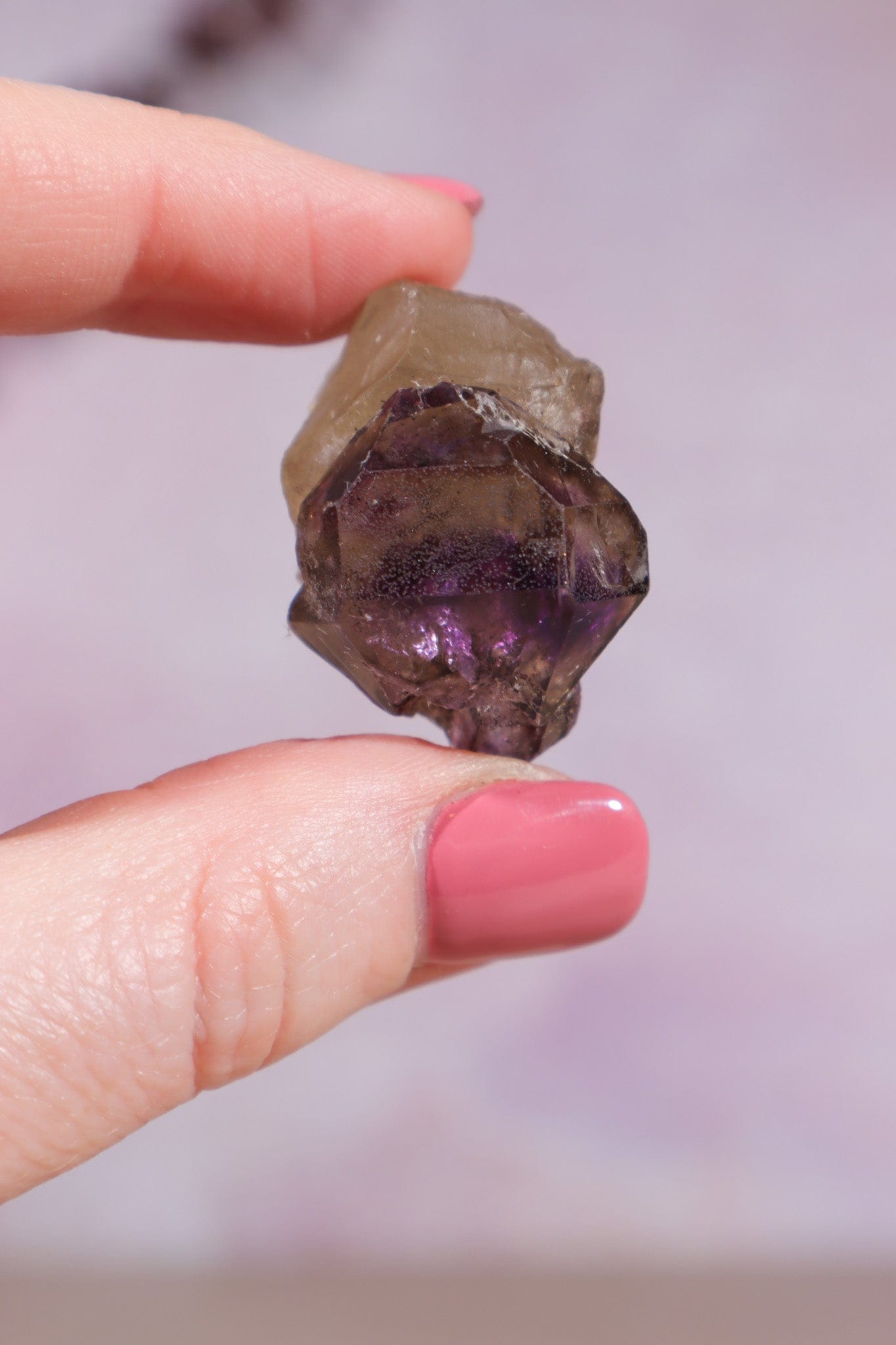 Brandberg Amethyst and Smokey Phantom 3cm - Tali & Loz Crystals