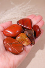 Brecciated Jasper Tumblestones 20-40mm - Tali & Loz Crystals