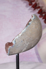 Brown Amethyst On Custom Stand 13.5cm Specimen Tali & Loz Crystals