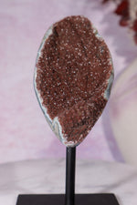 Brown Amethyst On Custom Stand 13.5cm Specimen Tali & Loz Crystals