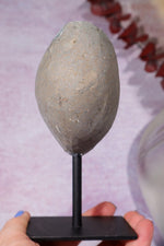 Brown Amethyst On Custom Stand 13.5cm Specimen Tali & Loz Crystals