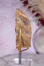 Brown Amethyst Stalactite Specimen 10cm Specimen Tali & Loz Crystals