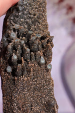 Brown Amethyst Stalactite Specimen 10cm Specimen Tali & Loz Crystals