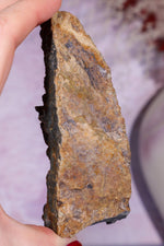 Brown Amethyst Stalactite Specimen 10cm Specimen Tali & Loz Crystals