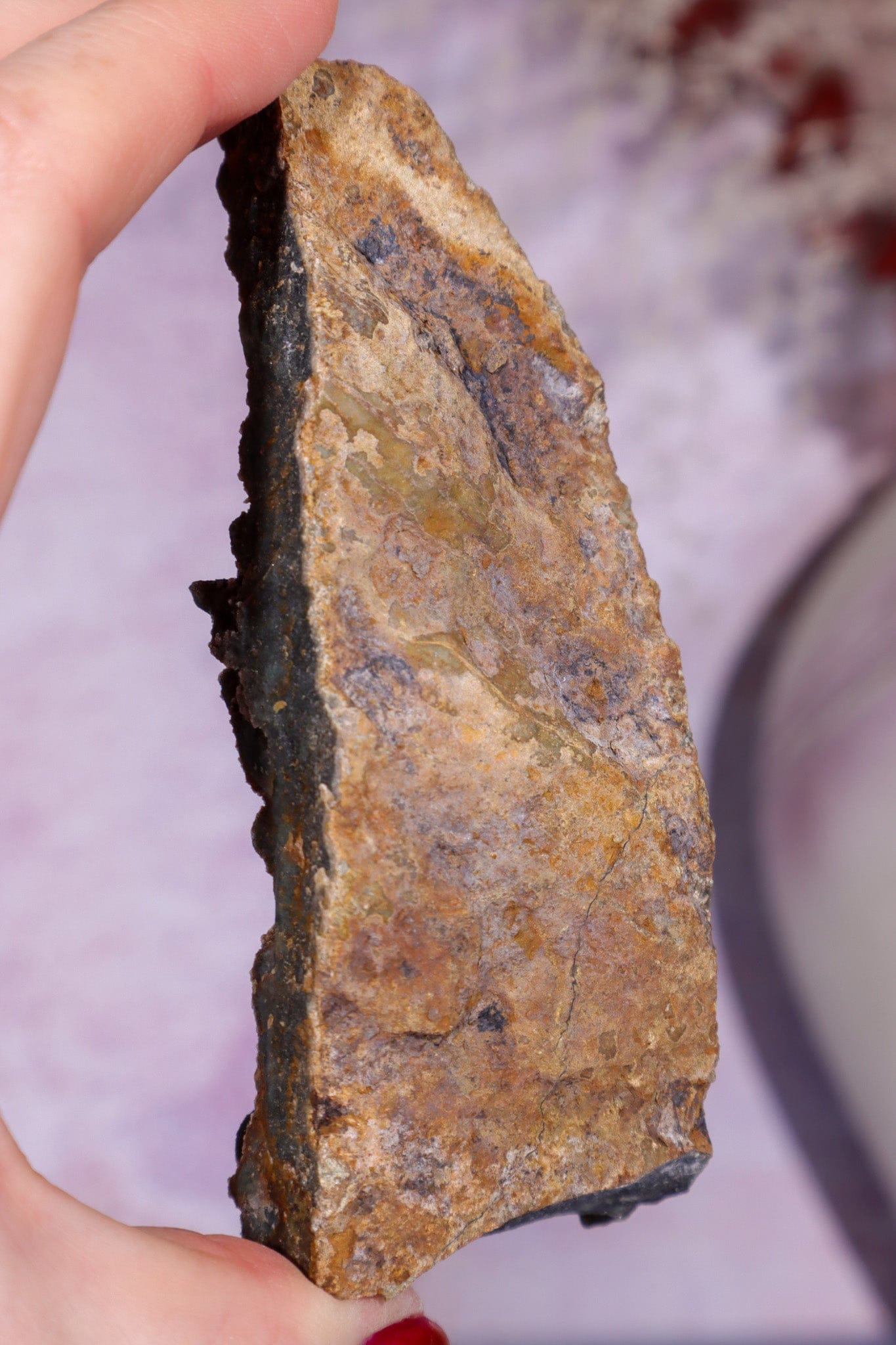 Brown Amethyst Stalactite Specimen 10cm Specimen Tali & Loz Crystals