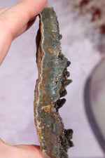 Brown Amethyst Stalactite Specimen 10cm Specimen Tali & Loz Crystals