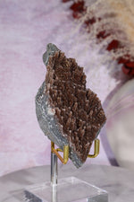 Brown Amethyst Stalactite Specimen 9.5cm Specimen Tali & Loz Crystals