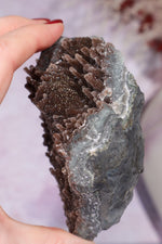 Brown Amethyst Stalactite Specimen 9.5cm Specimen Tali & Loz Crystals