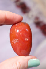 Carnelian Tumblestones Large 30-40 mm Tumblestones Tali & Loz Crystals