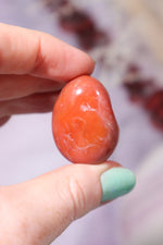 Carnelian Tumblestones Large 30-40 mm Tumblestones Tali & Loz Crystals