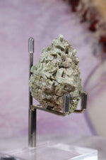 Celadonite | 38.12g | India Minerals Tali & Loz Crystals